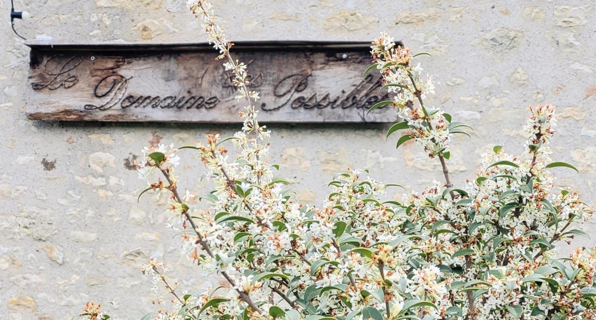 Domaine Des Possibles - Equi Home Montayral Bagian luar foto